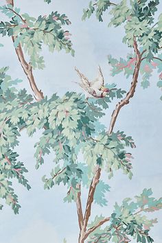 a wallpaper with trees and birds painted on it