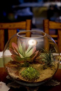 a glass bowl filled with plants on top of a table