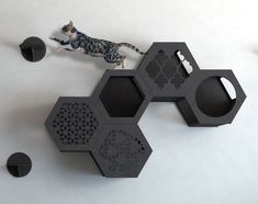 a cat is standing on top of some black hexagonal pieces that are connected to each other