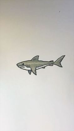 a drawing of a shark in the sky with no one on it's side