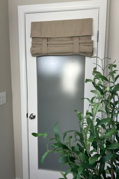 a bathroom door with a towel hanging on the window and a potted plant next to it