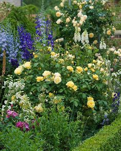 a garden filled with lots of different types of flowers