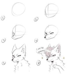 how to draw an animal's head with different angles and shapes, including the eyes