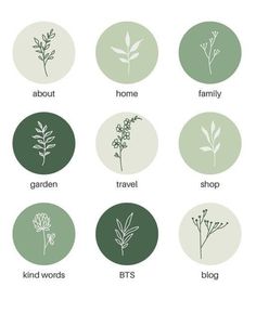 the different types of plants that can be used to describe what they are