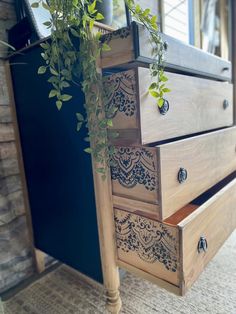 a plant is growing out of an old dresser