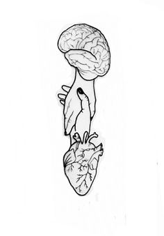 a drawing of a human heart and brain