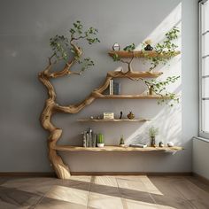 a bonsai tree in the corner of a room with bookshelves and shelves