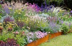 a garden filled with lots of different types of flowers