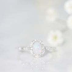 The Beautiful Dreamer ring is inspired by the 1864 song called "Beautiful Dreamer." The alternating marquise and round stone halo design is reminiscent of the graceful curves of a flower blooming. The ring has a dreamy and ethereal aesthetic, but is also classic and timeless. White Cluster Jewelry With Halo, Elegant Oval Flower Ring For Anniversary, Fine Jewelry Cluster Halo Ring For Wedding, Fine Jewelry Halo Ring With Cluster Shape For Wedding, Delicate White Diamond Ring With Gemstone, Elegant White Cluster Ring With Oval Shape, Delicate Halo Wedding Rings, Delicate Halo Diamond Wedding Ring, Elegant White Flower Ring With Rose Cut Diamonds