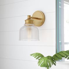 a bathroom light with a glass shade hanging from the wall next to a potted plant