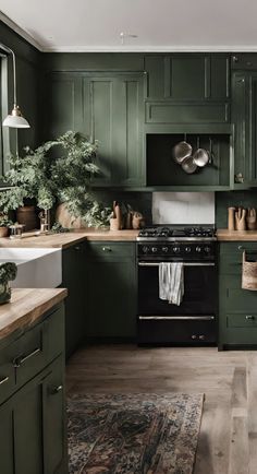 a kitchen with green cabinets and an area rug in front of the stove top oven