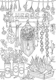 a coloring page with flowers and herbs hanging from the clothes line, in black and white