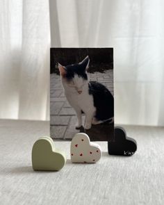 a black and white cat sitting on top of a table next to two small hearts