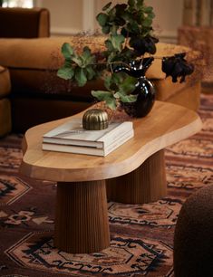 a coffee table with books and a plant on it