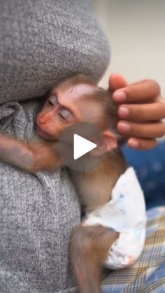 a person holding a baby monkey in their arms