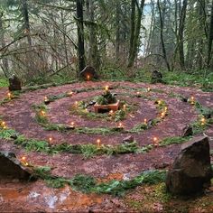 a circular arrangement with candles in the middle surrounded by rocks and trees on a forest floor