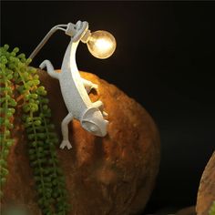 a lamp that is sitting on top of a rock