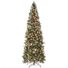 a christmas tree with white lights and pine cones on the top, is shown in front of a white background