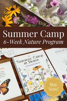 the summer camp and nature program is available for kids to learn how to use it