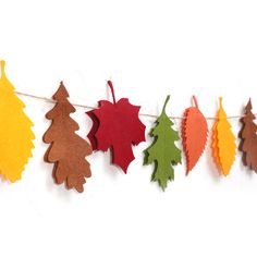 autumn leaves are hanging on a clothes line with string attached to the side, which is decorated with red, orange, and green felt leaves