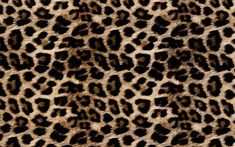 an animal print pattern with black spots on it's fur, as well as the skin