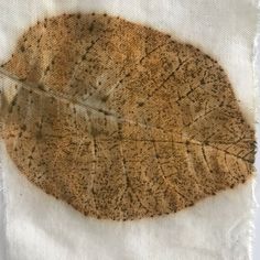 a piece of cloth with some sort of leaf on it