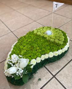 a golf hole made out of moss and flowers on the ground with a flag in the background