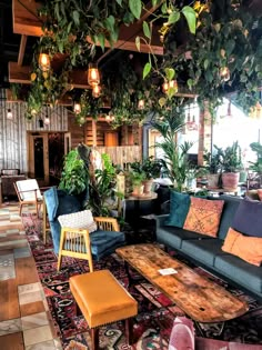 a living room filled with lots of furniture and plants hanging from the ceiling above it