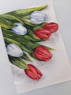 a painting of red and white tulips with green leaves on a white background