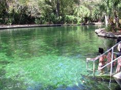 a man standing in the water next to a metal hand rail with green algae growing on it