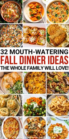 fall dinner recipes Fall Recipes For Family, Meals For Fall Dinners, Family Fall Dinners, Easy Yummy Fall Dinners, Easy Dinners That Look Fancy, Early Fall Dinner Ideas, Dinner Ideas Easy Fall, Fall Weather Dinner Recipes, Fall Easy Dinners Healthy