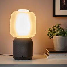 an amazon smart speaker sitting on top of a table next to a potted plant