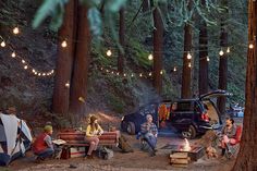 a group of people sitting around a campfire in the woods with tents and lights strung from trees