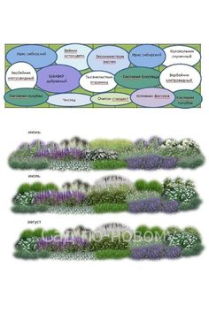 different types of plants and their names in the same language, with pictures on each side