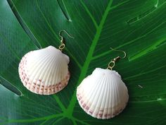 Beautiful jewelry from cockle seashells found on South Carolina beaches. They shine in a lovely pink and white color that brings out their natural shape. Wear them every day or for special occasions--they're sure to bring you joy! Happy Shopping! NOTE: Each earring may vary slightly in color. White Shell Jewelry For Beach Season, White Strand Shell As Gift, Pink Shell-shaped Jewelry For Summer, Pink Shell-shaped Summer Jewelry, White Shell-shaped Necklace For Summer, Handmade White Earrings For Beach Season, White Shell Strand, Handmade White Shell With Beachy Style, White Handmade Shell With Beachy Style