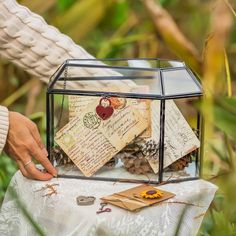 a person holding a piece of paper near a glass box filled with letters and pine cones