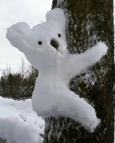 a white teddy bear stuck in the bark of a tree covered in snow and ice