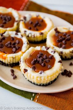 mini cheesecakes with chocolate chips on a white plate