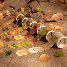 several rolls of toilet paper sitting on top of a wooden table covered in autumn leaves