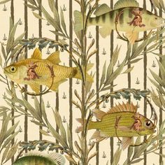 an image of fish in the water on a striped wallpaper background with bamboo stalks