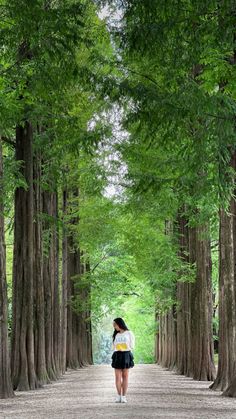 The lush green sequoia lane on Namiseom with a woman in a t shirt and mini skirt standing in the middle of the path Suwon, Nami Island Outfit, Nami Island, Island Outfit, Travel Trends, Easy Day, Culture Travel, The Capital, Hidden Gems