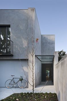 a bike parked in front of a building with a tree growing out of the ground