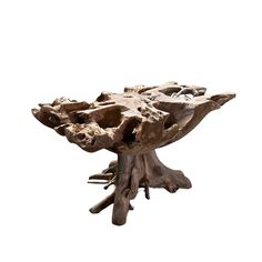 a piece of drift wood sitting on top of a table