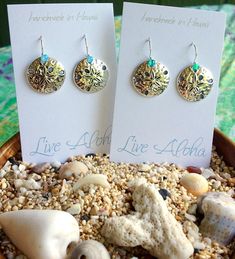 there are two earrings on display in a bowl filled with shells and sea urchins