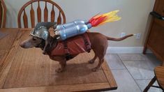 a dog dressed up as a knight with a fire extinguisher on it's back