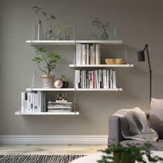 a living room with bookshelves and plants on the shelves above it, along with a couch