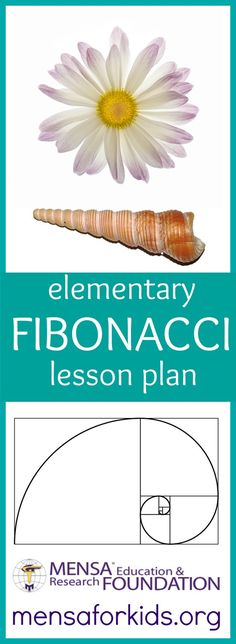 the elementary fibonacci lesson plan is shown with a flower and a piece of wood