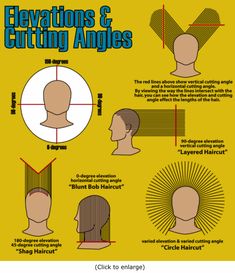 Hair cutting elevation and angles graphic How To Cut Hair, Cut Hair At Home, Hair Jazz, Diy Hair Dye, Lumpy Space, Hair Academy, Crop Hair