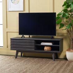 an entertainment center with a television and potted plant on the floor next to it