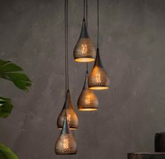 a group of lights hanging from a ceiling next to a potted plant on a table